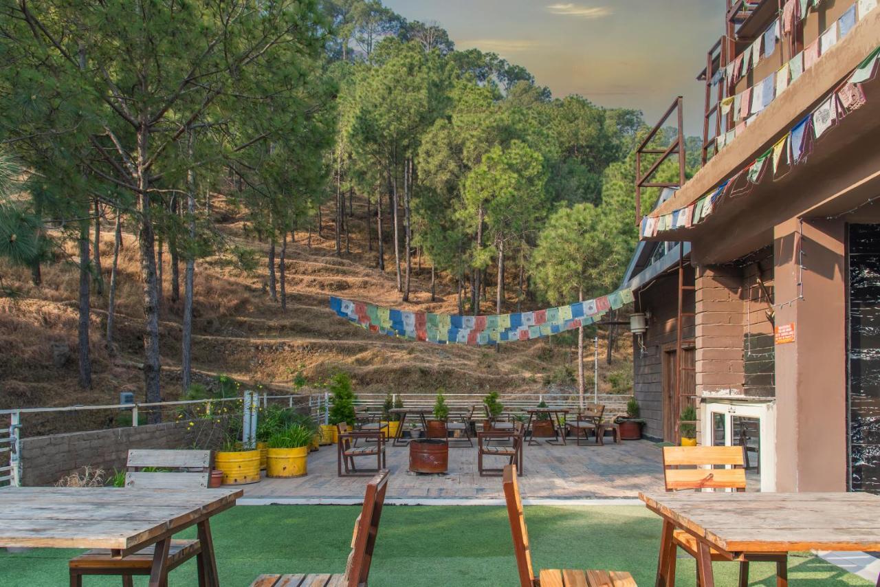 Hillcrest Heights Bed & Breakfast Kasauli Luaran gambar