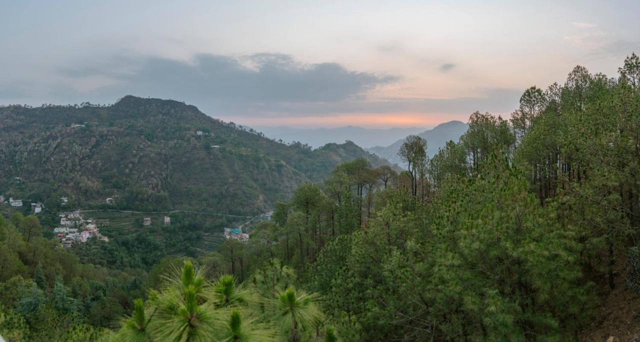Hillcrest Heights Bed & Breakfast Kasauli Luaran gambar