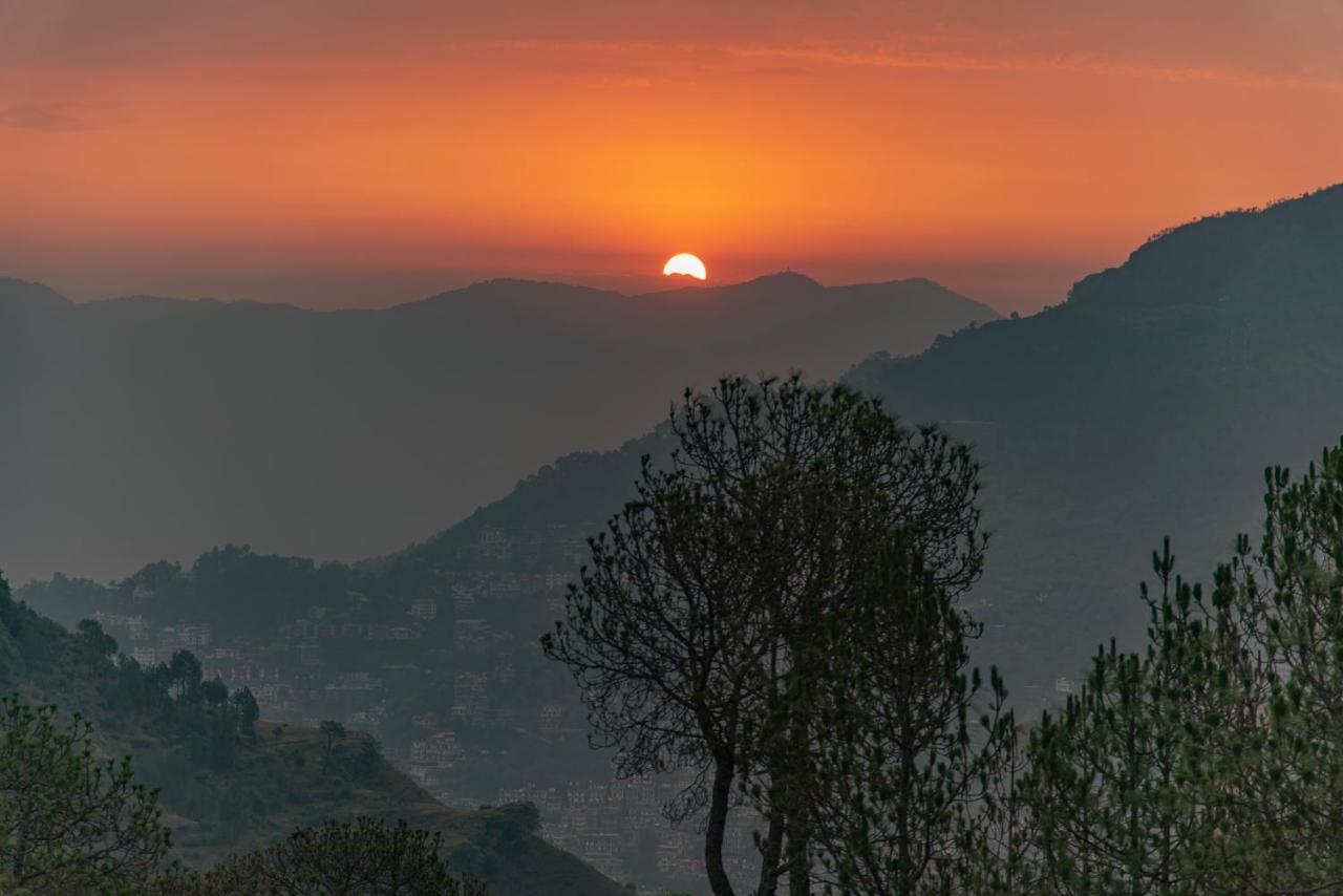 Hillcrest Heights Bed & Breakfast Kasauli Luaran gambar
